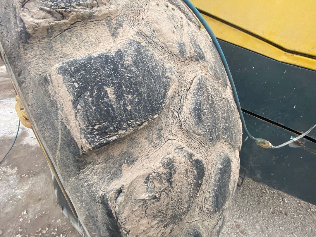 2003 KOMATSU WA450-5L - Image 45